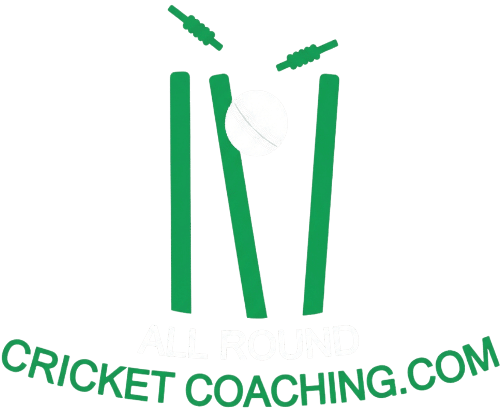 All Round Cricket Coaching logo